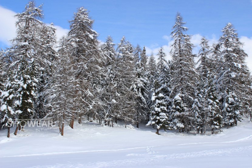 IMG_2055-snowkemplowlogo