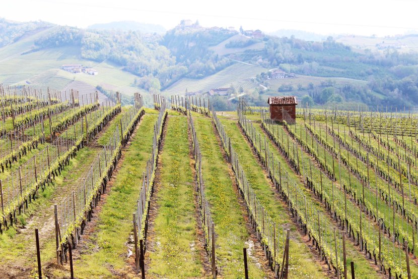 cascina bruni 14-low